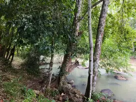 tanah murah los sungai dekat kota tababab bali