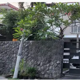 Rumah Murah mewah 2 lantai di margorejo indah dkt papaya tengillis