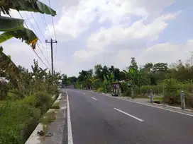 DIJUAL TANAH VIEW SAWAH AREA NGEMPLAK WEDOMARTANI