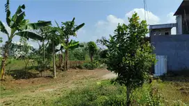 Dijual Tanah Sekitaran UIN Dan UMM Cocok Bangun Hunian