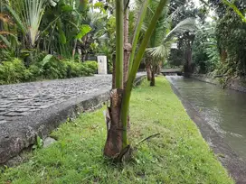 tanah murah di munggu