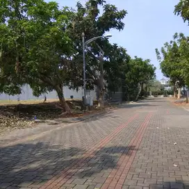 Jual Tanah Besar Super Murah di Marina Ancol Dibawah NJOP