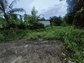 Tanah Jalan Utama Di Kemenuh Tegenungan Sukawati Dkt Ubud Gianyar