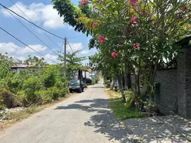 tanah pidada ubung