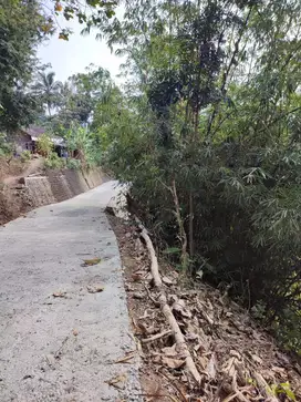 tanah murah,view hamparan sawah.lokasi barat kopi ingkar janji