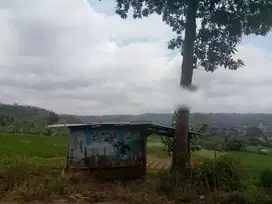 Tanah di CIBURUY PADALARANG (Jl. Langkop)