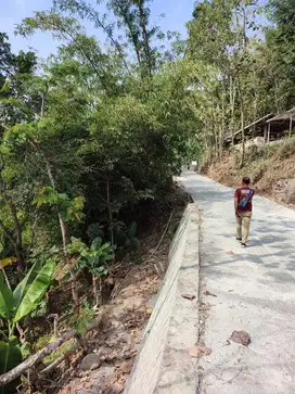 tanah murah,akses lebar,view sawah.lokasi pendoworejo,girimulyo.