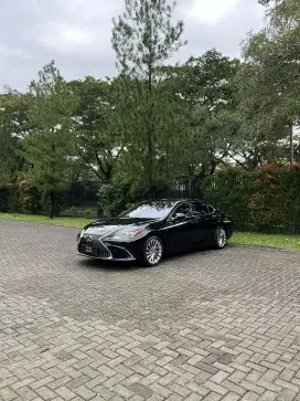 Lexus ES 250 Luxury Sedan 2020