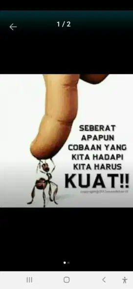 Butuh Karyawan Serabutan