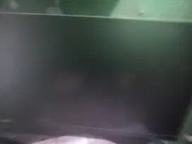 Monitor lg 30 in