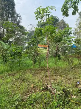 Jual tanah daerah ujungberung  luas 20 tumbak