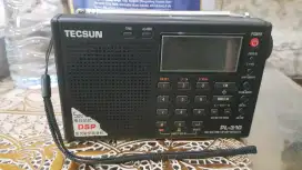 Radio Tecsun PL 310