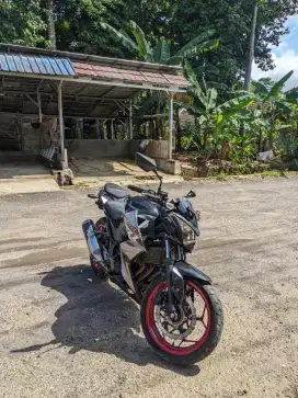 Kawasaki z250 2018