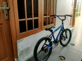 Sepeda senator 20 in