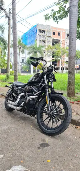 Harley Davidson Sportster iron 883 2013
