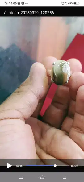 cincin panca warna gagang perak murni tempahan