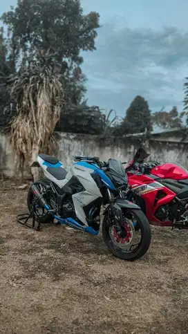 Kawasaki Z250 FI 2017