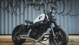 SPORTSTER KAISAR RUBY 250