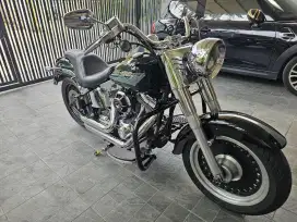 Harley Davidson Fat boy 2009 1 HD