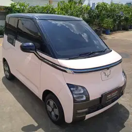 Wulling Air Ev Long Range 30KW AT 2022