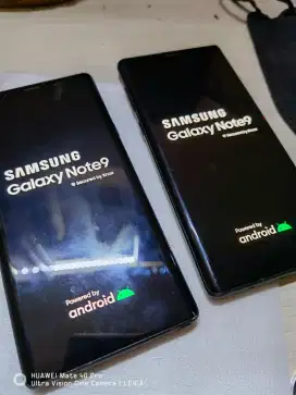 Samsung note 9 minta ganti lcd aja