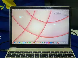 Macbook Retina 2017 (Nett)