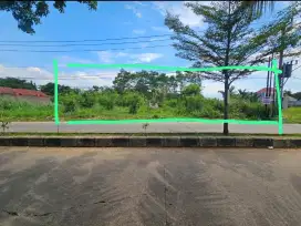 Dijual Tanah 1.000 m², SHM - Langsung Pemilik