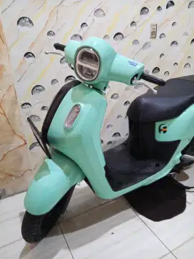 Fazzio neo cbs 2024