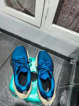 Asics novablast 4