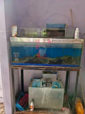 Jual aquarium dan top filter lengkap