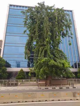 Gedung Perkantoran di Warung Buncit, Kalibata, Pancoran Jakarta Selata