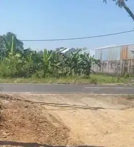 JUAL TANAH SELATAN PABRIK MADUKISMO KASIHAN BANTUL JOGJAKARTA