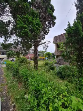 Dijual Murah Tanah Di Tretes Prigen