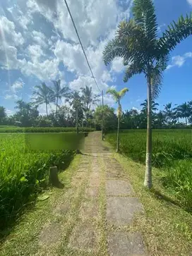 Dijual Tanah Villa kory 1, Near Jatiluwih Baturiti, Bali