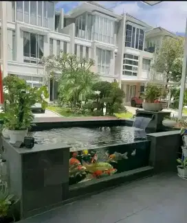 Kolam Ikan Koi Termurah