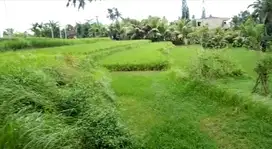 Dijual tanah di pejeng kawan,. Ubud