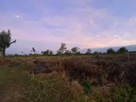 Tanah Perumahan Dekat UMM Malang