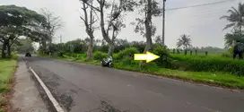 Dijual Tanah Murah Poros jl. Raya Kedungrejo pakis Malang cepat B.U