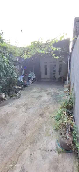 Di jual Butuh, yuk di kepoin