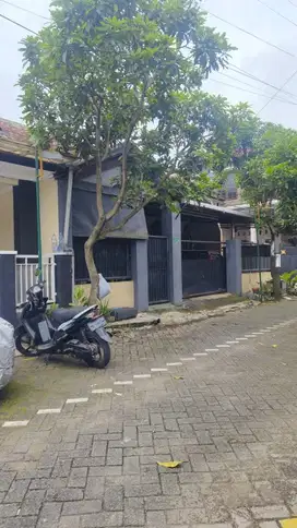 Rumah MURAH BANGET Owner BU Luas 141 Meter di Kapi Sraba Sawojajar