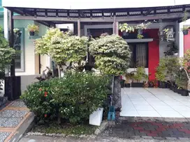 Rumah Galuh Mas Cluster Primerose, Telukjambe Timur, Karawang
