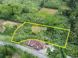 Jual Tanah Sawah Pakem Pinggir Jalan 2 Mobil Batas Parit