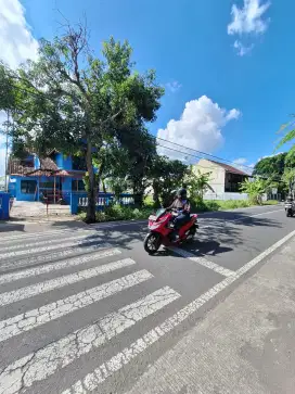 Disewakan rumah pinggir jalan propinsi