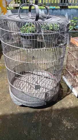 Jual cepat sarang burung ukuran besar