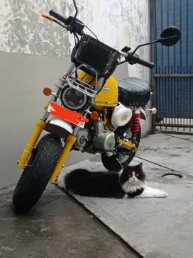 Honda Monkey z50 replika