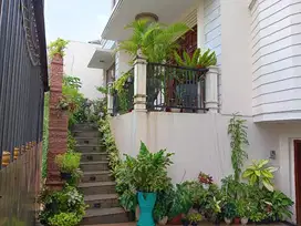 For Rent : Rumah Cantik di Lembah Pinus, Pangkalan Jati, Cinere