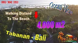 Under Market Price 4,000 sqm in Selemadeg Barat, Tabanan