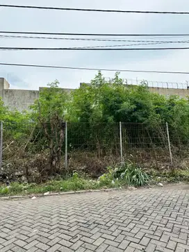 Jual termurah jarang ada tanah kavling tenggilis mejoyo