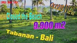 9,900 m2 By the main road with Ocean view in Selemadeg Barat