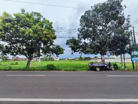 TANAH SHM 7445 NOL JALAN UTAMA KALIWATES